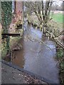 The Winford Brook as it enters Littleton Mill