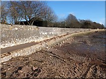 SX9687 : Storm damage to the Goat Walk at Topsham (2) by David Smith