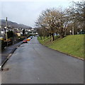 Glenboi, Fernhill, Mountain Ash