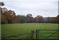 Wardley Marsh