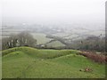 View from Brent Knoll towards East Brent