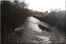 SD7910 : River Irwell by N Chadwick