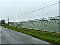 Greenhouses on Lockgate Road