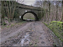 SE1940 : Railway Bridge in Spring Wood by Chris Heaton