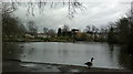 View of houses on South Park Drive from South Park #3