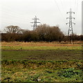 Two pylons north of the A4810, Newport