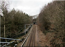 SE1940 : Wharfedale Line in Spring Wood looking North by Chris Heaton