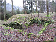 SK1691 : Remains of the Derwent Canteen's cellar at Birchinlee / Tin Town by Gareth James