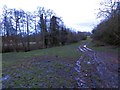 Muddy track by the Ledwyche Brook