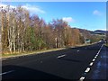 A9 near Blair Atholl