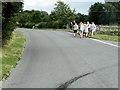 Walkers on the A1141 at Brent Eleigh