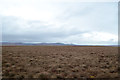 NC7714 : View Northwest towards Ben Armine, Sutherland by Andrew Tryon