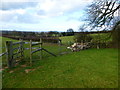 Field corner with gate near Field Farm