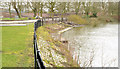 J3675 : Flood embankment, Victoria Park, Belfast - February 2014(1) by Albert Bridge