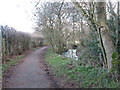 Footpath beside Holme Brook