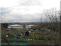 Gasometers beyond the allotments