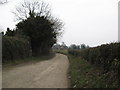 SO3384 : Shropshire lane at Lower Down by Martin Richard Phelan
