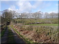 Country Track Near Chapelcross