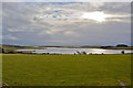 Looking south across Colliford Lake on Bodmin Moor