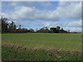 Farmland off High Street, Kimpton