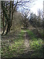 Path through woodland, Bower Heath