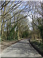 Lane heading east, Bower Heath