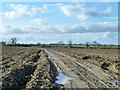 Track across ploughed field