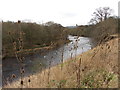 River Swale near Easby