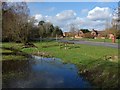 Pond, Darby Green