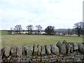 View of High Woodside farm from the main road