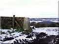 Plane Tree Hill Ordnance Survey Trig Pillar