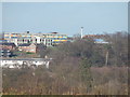 Suffolk New Academy (Chantry High School) from near Spinney Wood (close up)