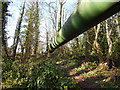 Pipe in Ashground Plantation