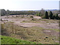 Coseley Road Wasteland