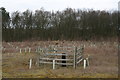 Disused and infilled quarry near Calceby, on the A16