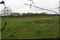 Field of earthworks and terraces SW of South Thoresby