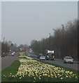 Broadway, Failsworth, Manchester, looking towards New Moston