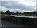 A lake off the River Lea