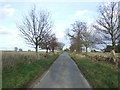 Lane towards Whitwell