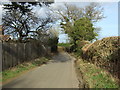 Lane heading north east near Eiling Lodge