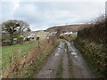 Llwybr Tynybone Path