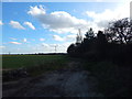 Path looking towards Stoke by Nayland church