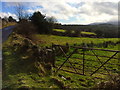 Tamnaghbane townland