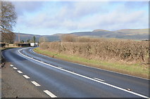 SO2460 : Traffic on the A44 near Old Radnor by Philip Halling