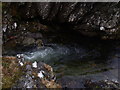NH0216 : Deep pool on elbow of Allt Grannda in Kintail by ian shiell