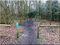 TQ0649 : Footpath leaves car park in Shere Woodlands LNR by Shazz