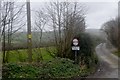 North Cornwall : Country Lane