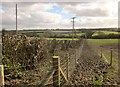 Footpath near Cribbs Causeway