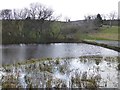 Pond at South Middleton