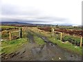 Rough lane, Loughmacrory